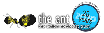 The Action Northeast Trust