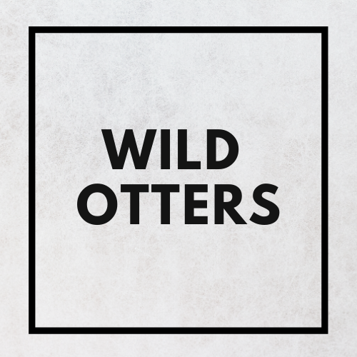 Wild Otters logo