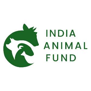 IAF India Animal Foundation